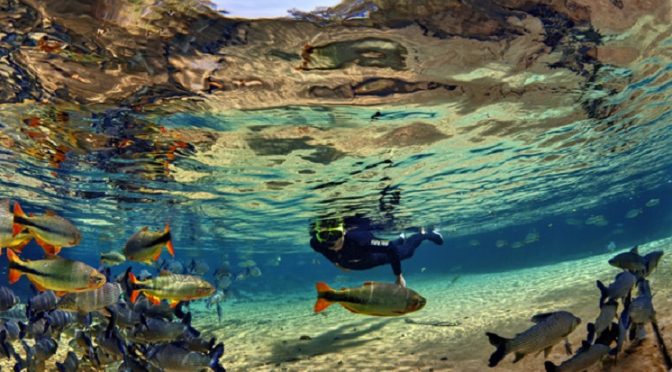 Mato Grosso do Sul promove destinos turísticos no B2Meet, em Natal