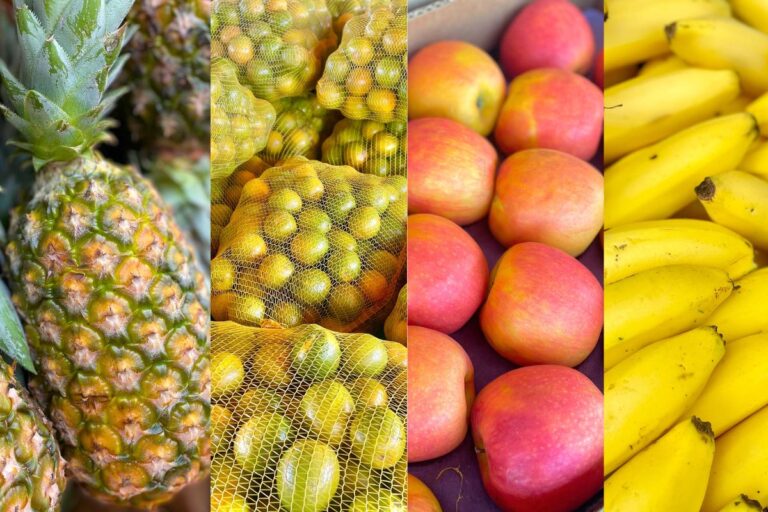 Explosão de cores e sabores: as frutas campeãs de vendas na Ceasa de Mato Grosso do Sul