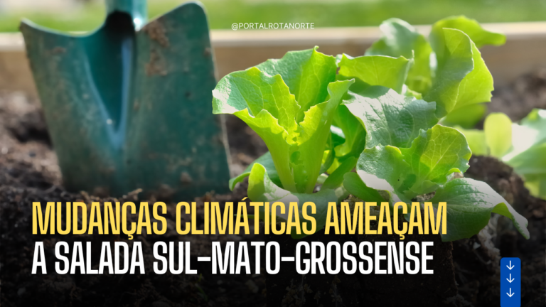 Mudanças climáticas ameaçam a salada sul-mato-grossense