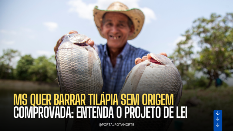 MS quer barrar tilápia sem origem comprovada: entenda o projeto de lei