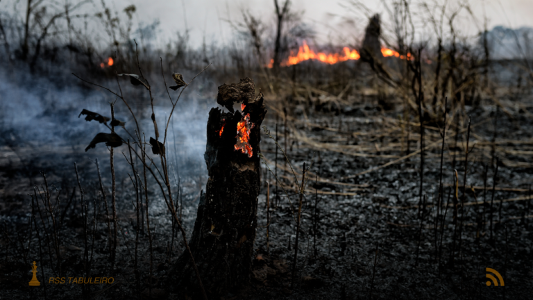 Queimadas no Pantanal caem 92% em 2025, após ano devastador em 2024