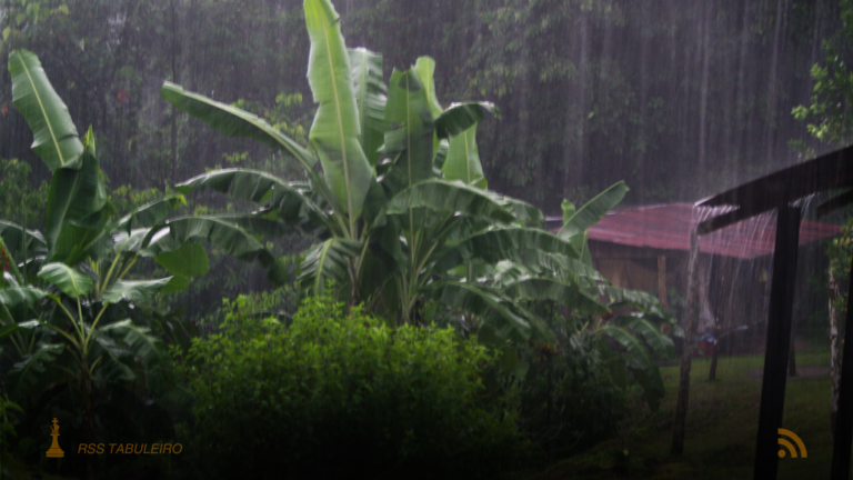 Clima MS: Chuva e temperaturas amenas em 18 de dezembro