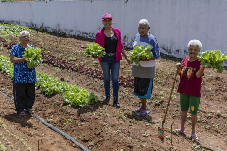 Horta comunitária inicia colheita e fortalece rede socioassistencial de São Gabriel do Oeste
