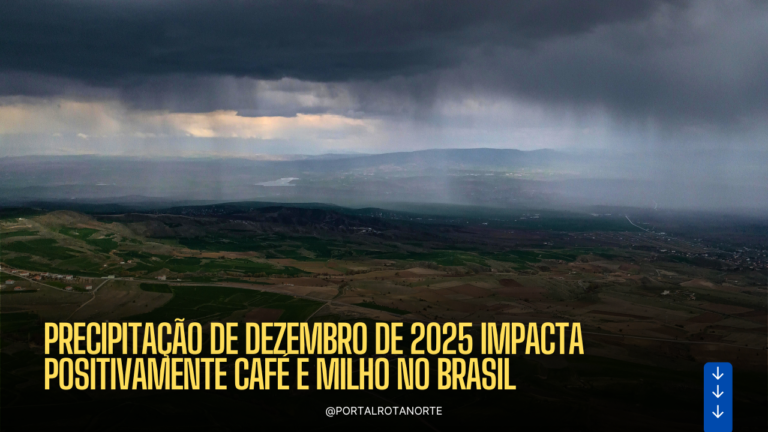 Precipitação de dezembro de 2025 impacta positivamente café e milho no Brasil