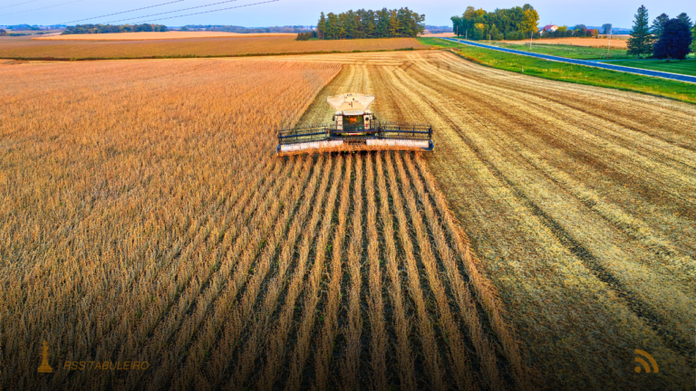 Brasil prevê exportar 2,27 mi t de soja em janeiro 2026