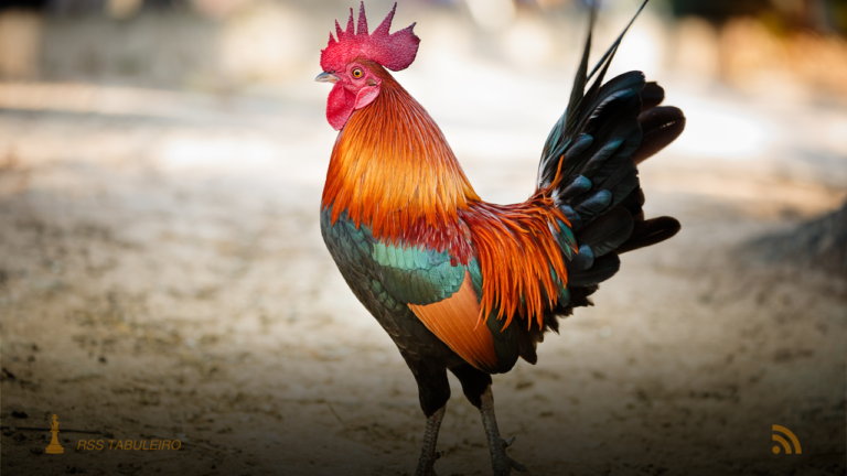 Justiça torna réus 20 pessoas por organização criminosa de jogo do bicho