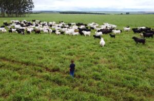 Com maior crescimento do país, agro de MS é fruto de incentivo, modernidade e sucesso do homem do campo