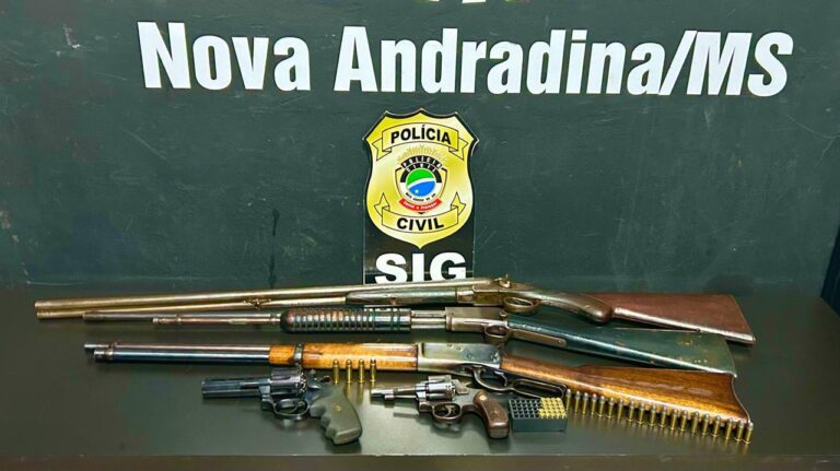 Polícia Civil esclarece furto de gado, recupera semoventes e prende receptadores em Nova andradina