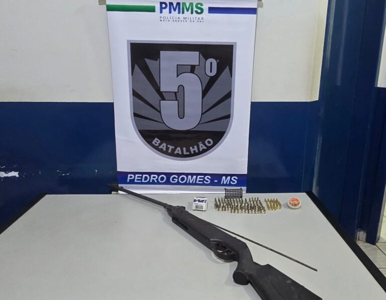 Polícia Militar prende homem por porte ilegal de arma em Pedro Gomes